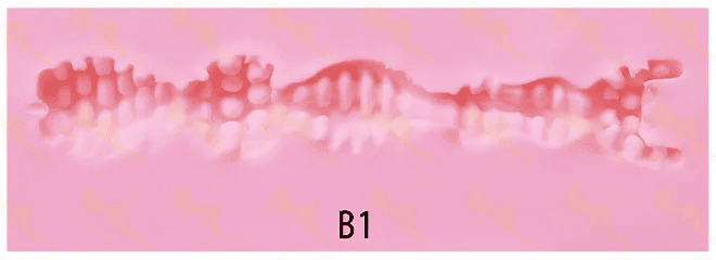 Cavité vaginale IRonTechDOll